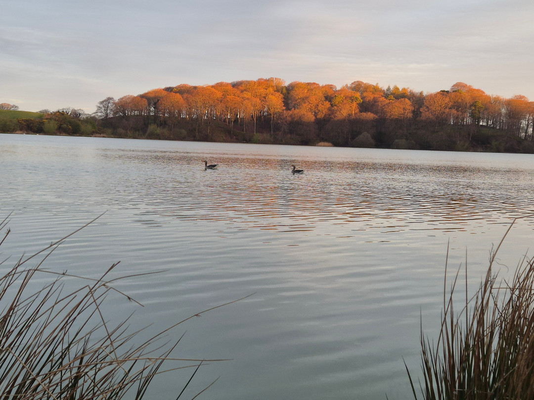 Talkin Tarn Park-卡莱尔必去景点