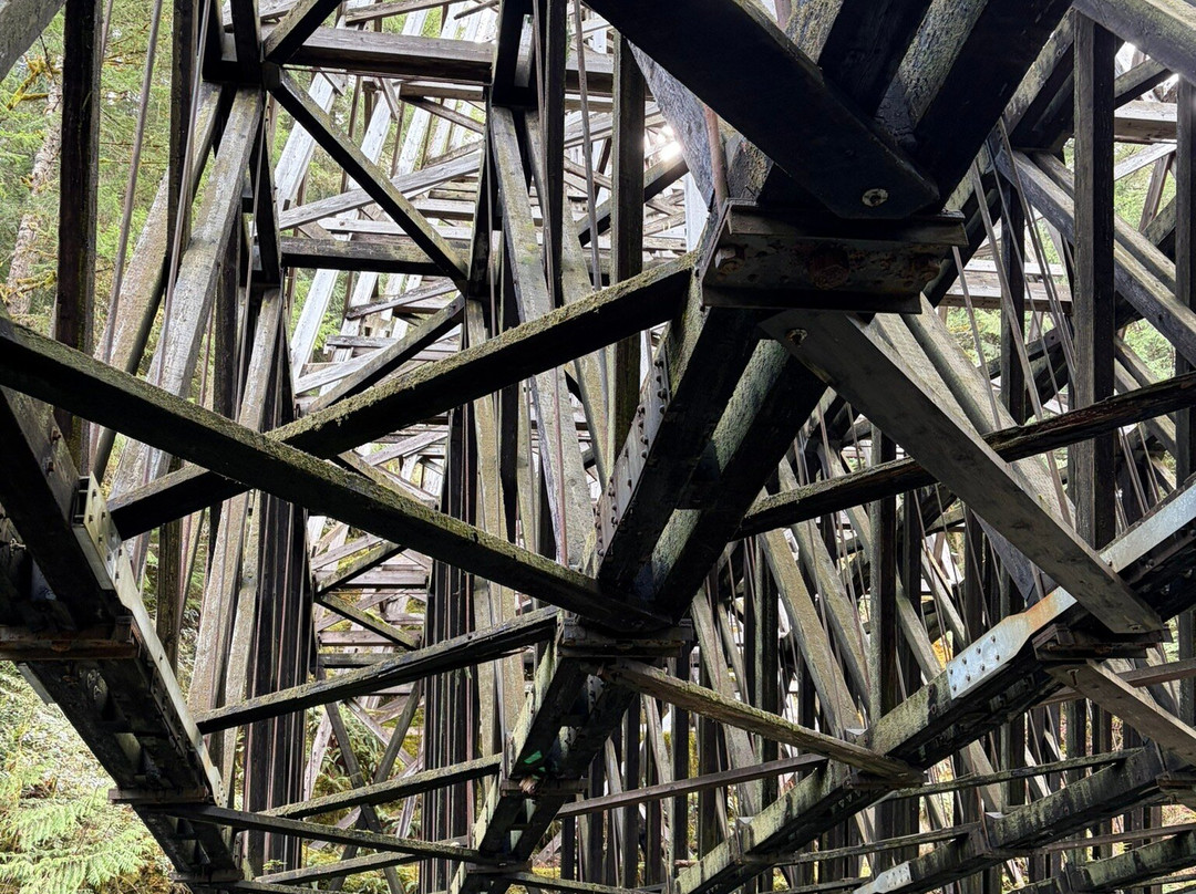 Kinsol Trestle-温哥华岛必去景点