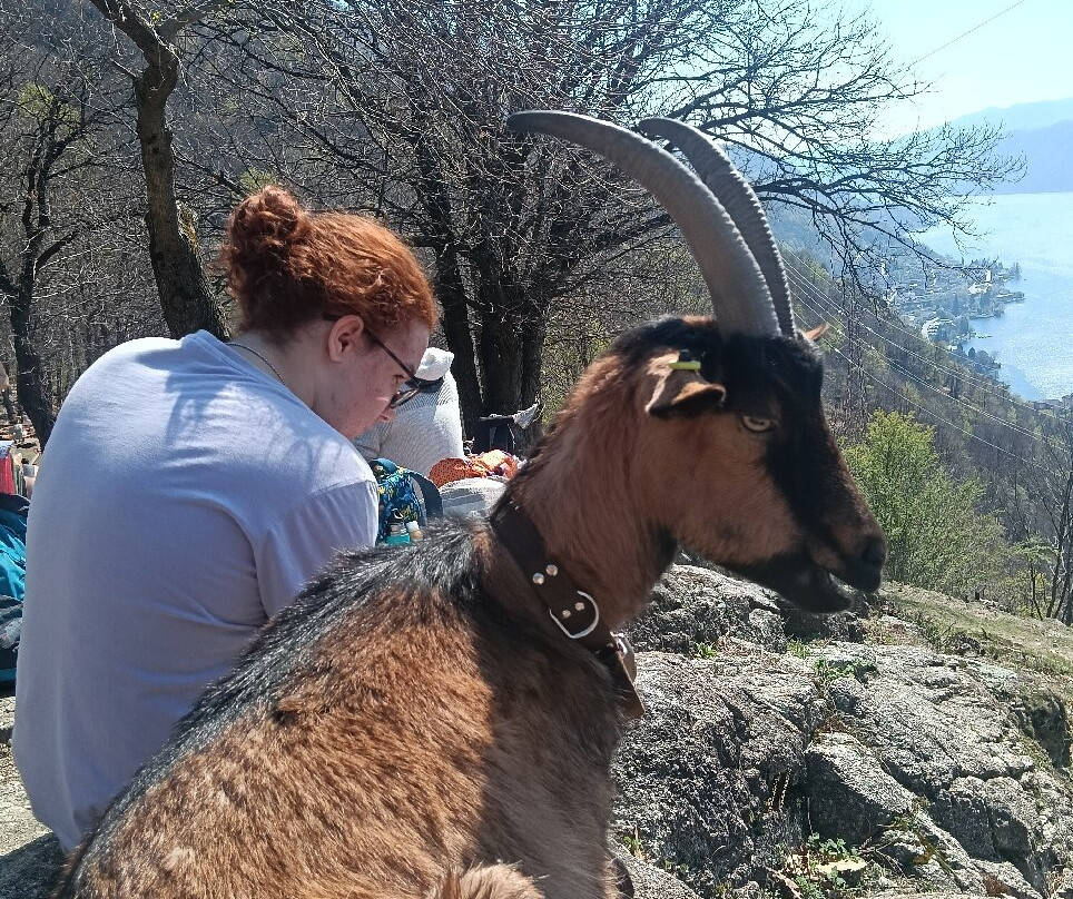 Alpe Mastrolini-Omegna必去景点