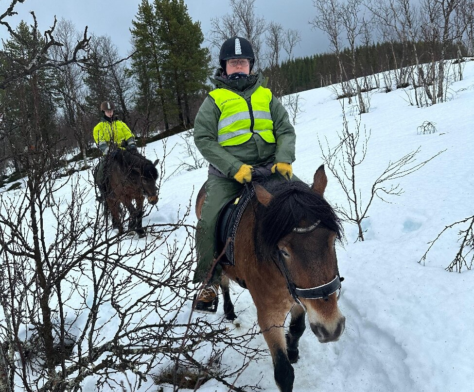 Tromsø Turhest As-Kvaloya必去景点