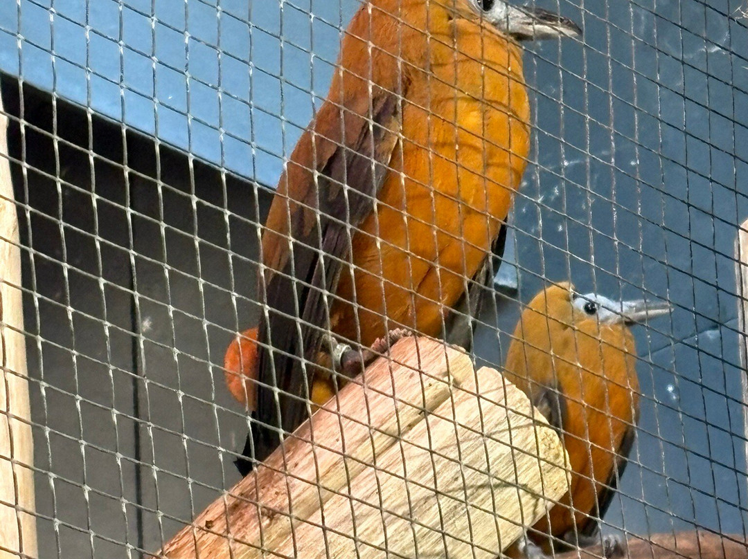 Parc Des Oiseaux-Villars-les-Dombes必去景点