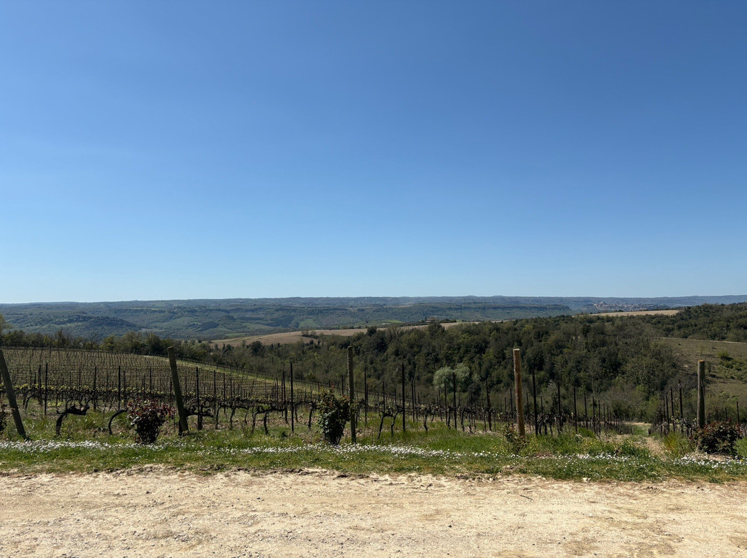 Decugnano dei Barbi-奥尔维耶托必去景点