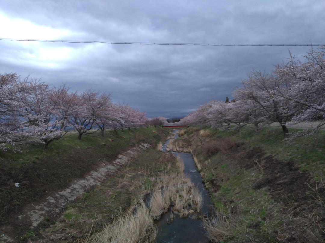 Fujitagawa Fureai Zakura-郡山市必去景点