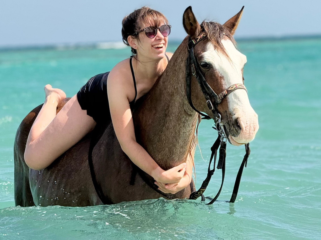 Ride Egypt-赫尔格达必去景点