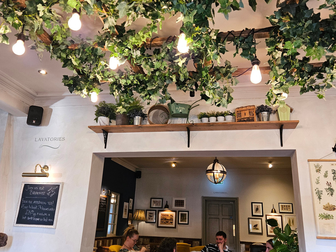 波顿熊酒店主图