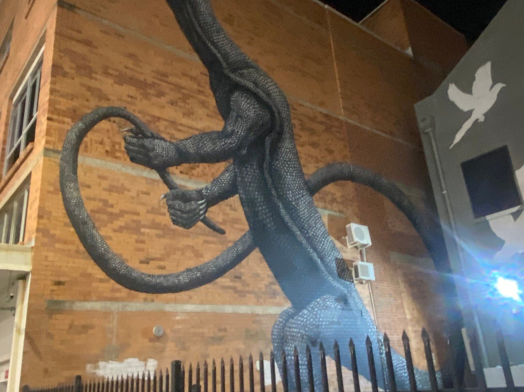 Street Art CBD Walking Trails-汤斯维尔必去景点