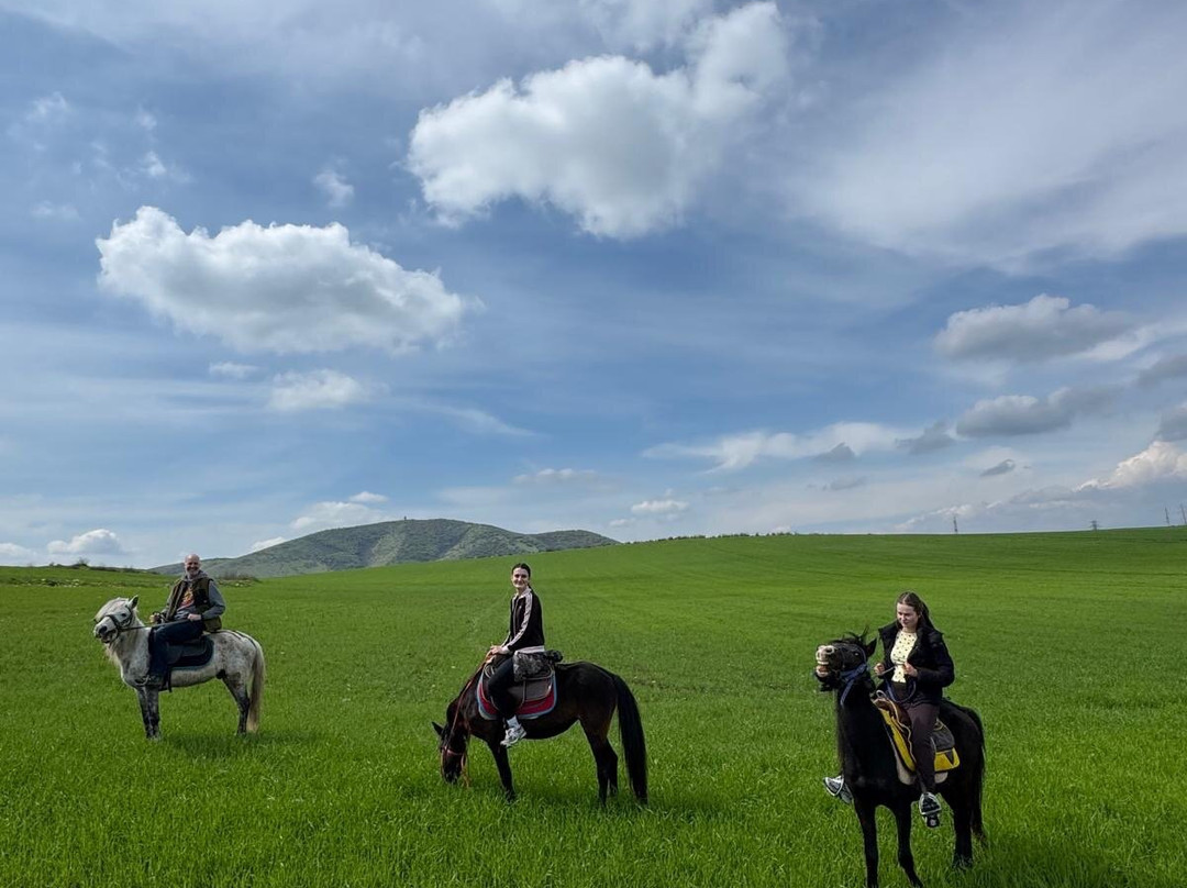 卡法兹图凡达格山度假酒店主图
