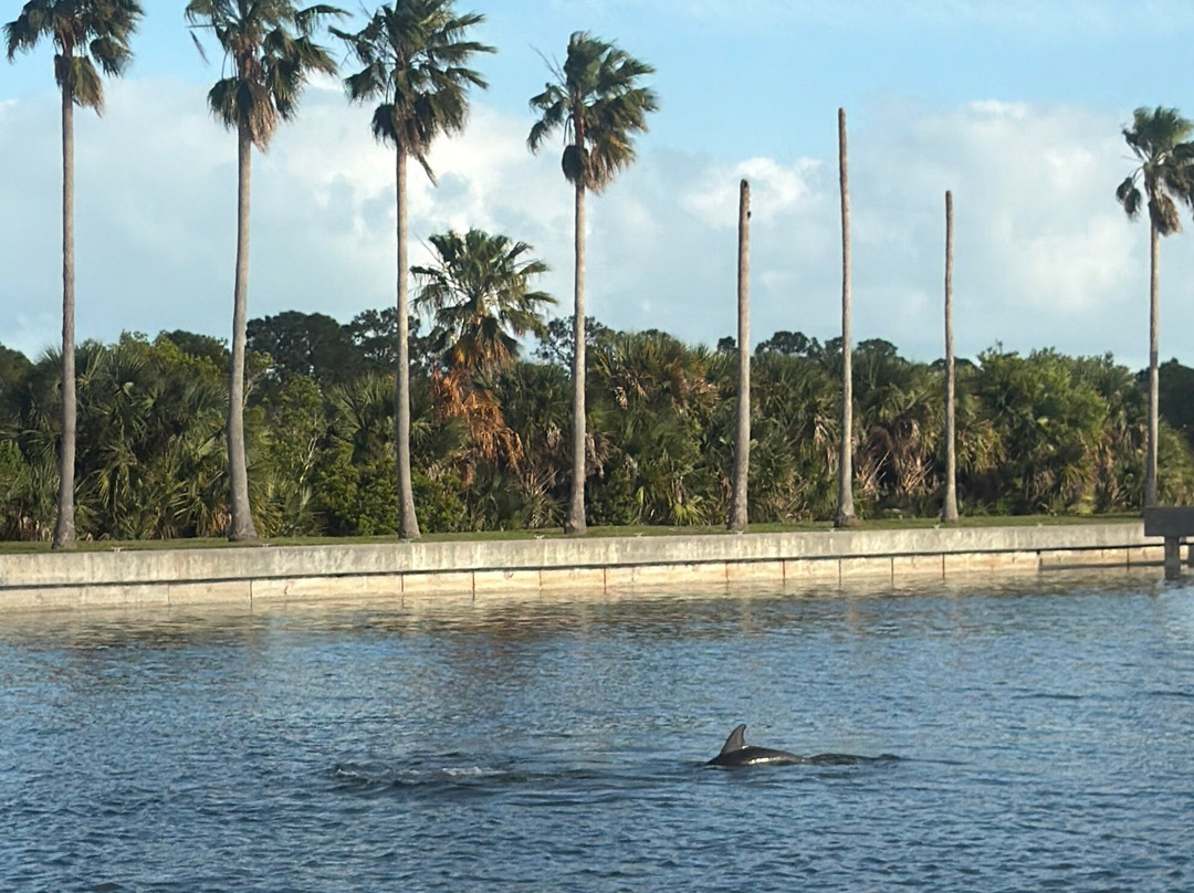 Captain Jack's Airboat Tours-大沼泽地必去景点