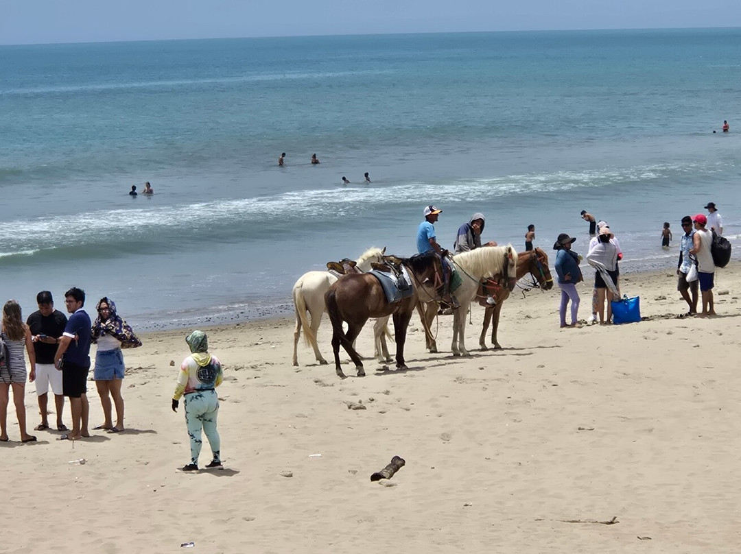 Las Pocitas Beach-Mancora必去景点