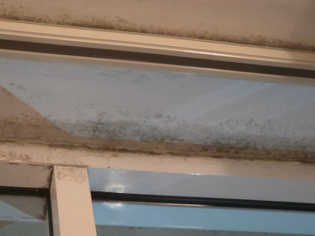 奥林巴斯广场酒店主图