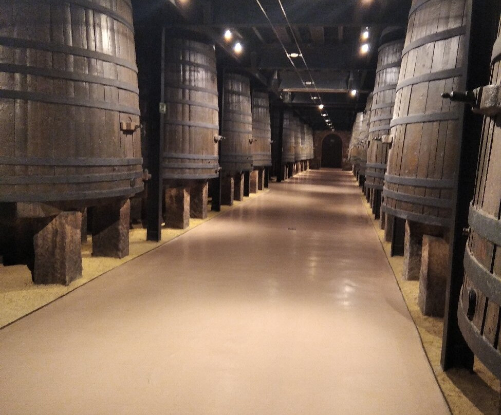 Bodegas Franco Espanolas-洛格罗尼奥必去景点