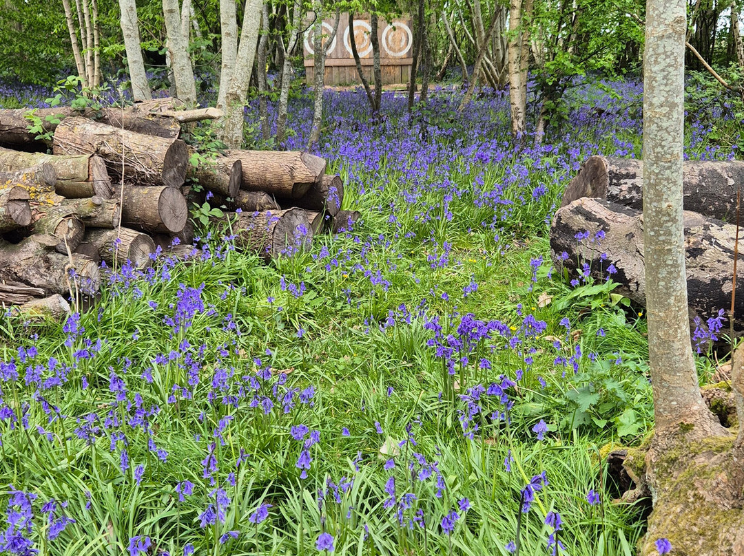 Joe's Bows-Faversham必去景点