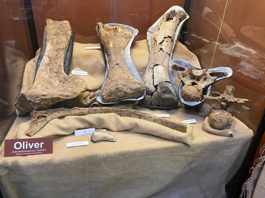 Australian Age of Dinosaurs-Winton必去景点