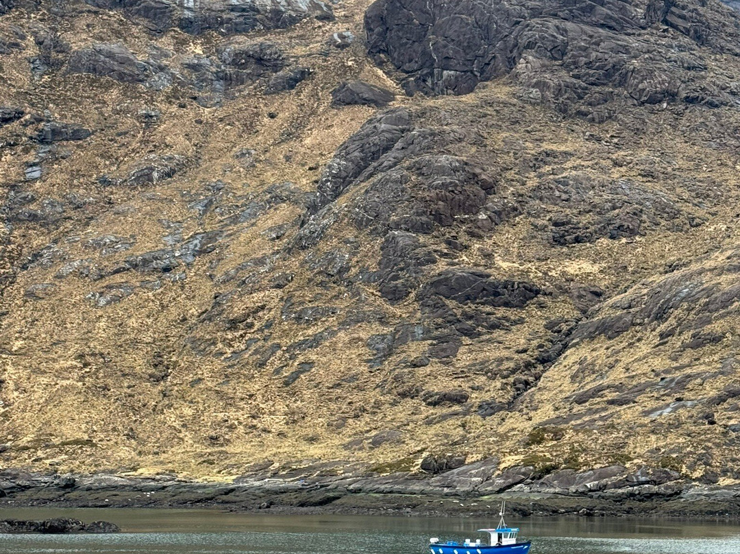 Misty Isle Boat Trips-Elgol必去景点