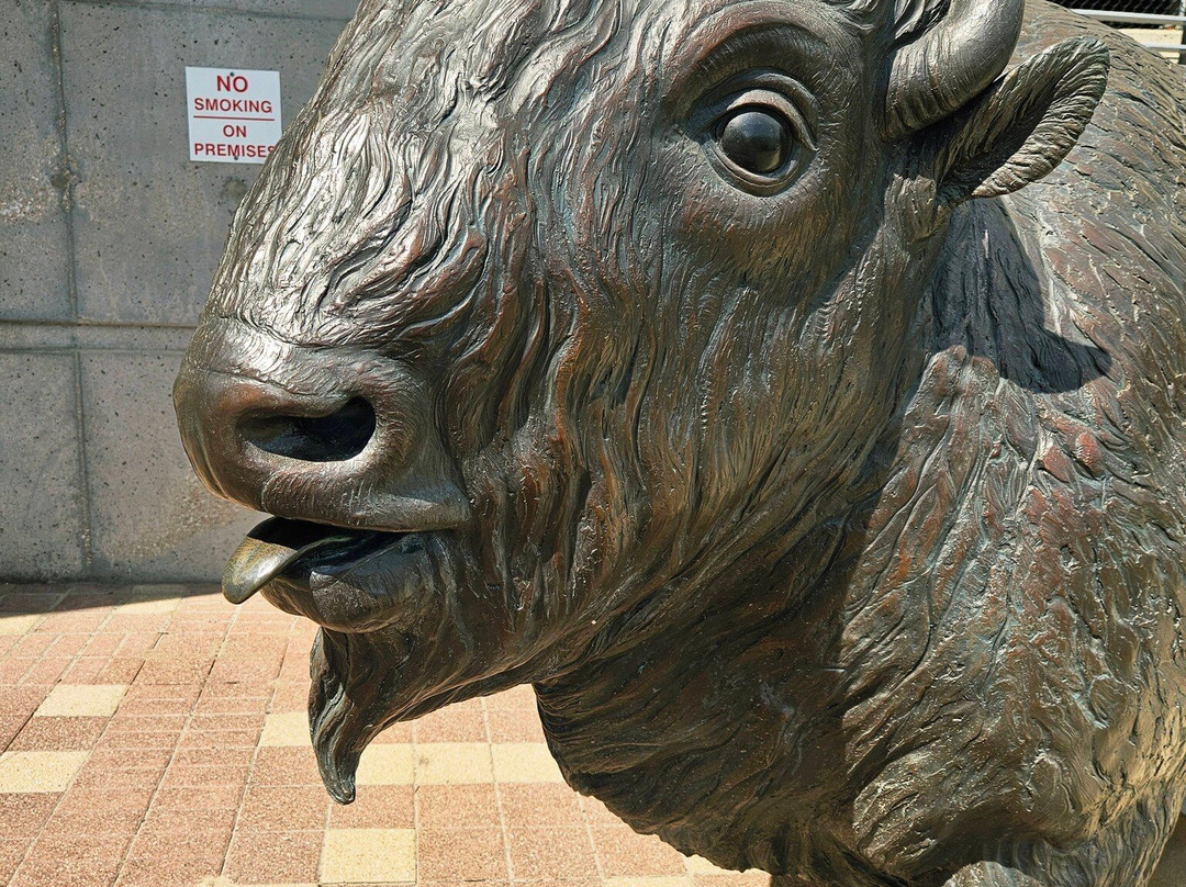 First National's Spirit of Nebraska's Wilderness and Pioneer Courage Park-奥马哈必去景点