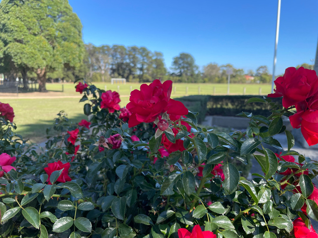 Tyabb Central Recreation Reserve-Tyabb必去景点