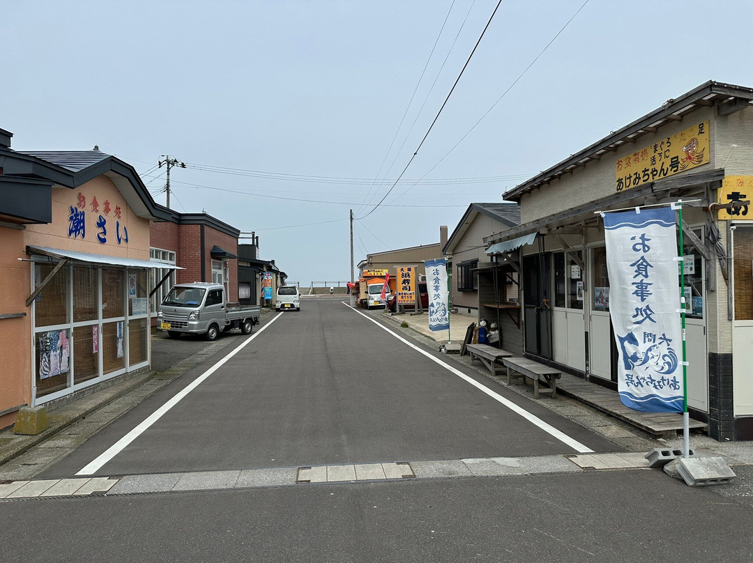 Omazaki  Cape-大间町 必去景点
