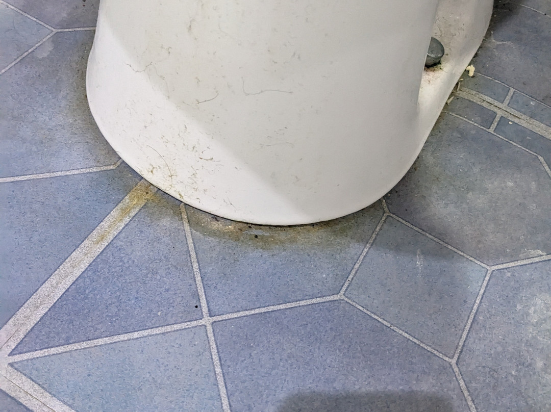 海港之家住宿加早餐旅馆主图