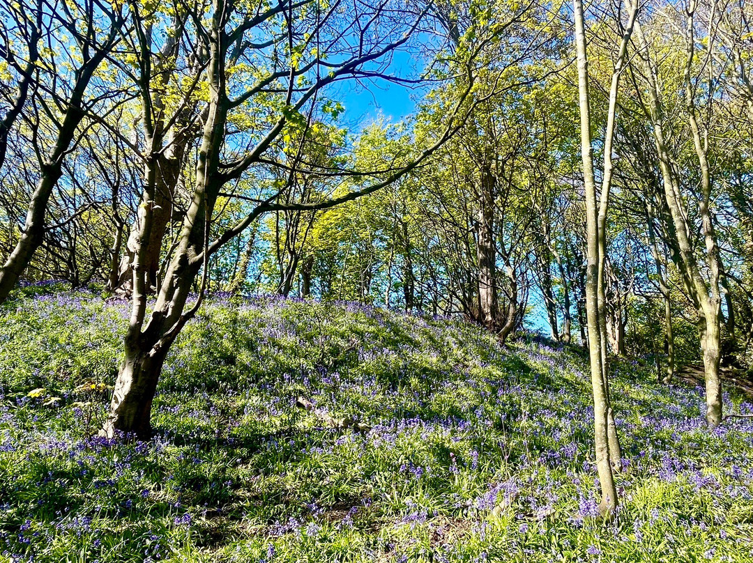 Ravenscraig Park-Kirkcaldy必去景点