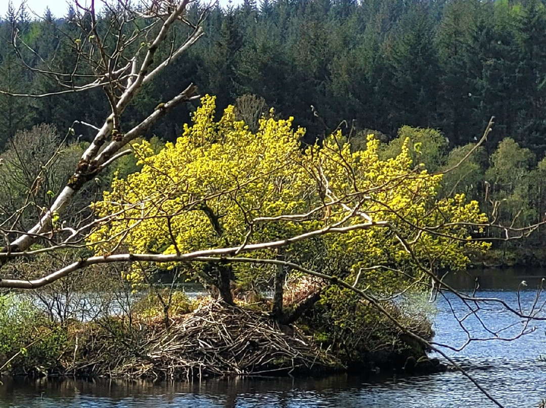 Argyll Beaver Centre-Lochgilphead必去景点