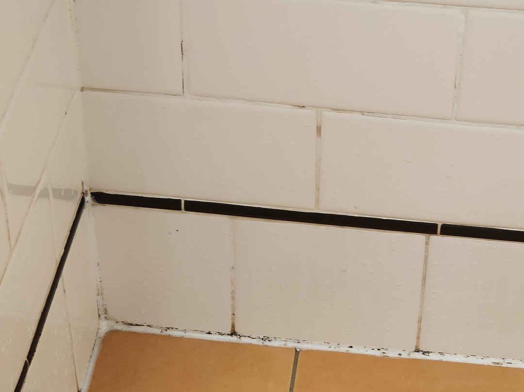 布拉西酒店 由DOMA集团管理主图