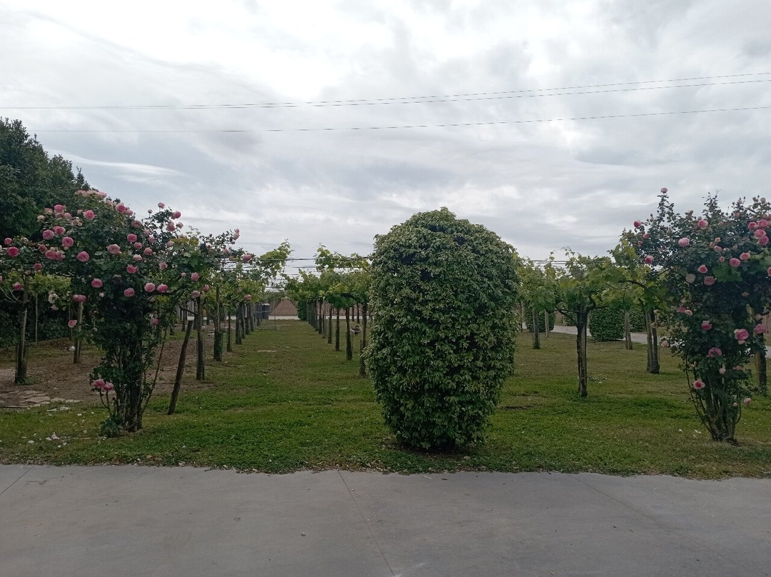 Cantina Sant'Andrea Azienda Agricola-特拉西那必去景点