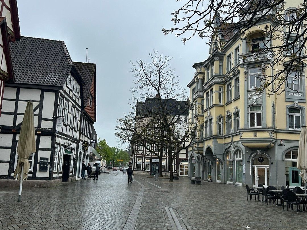 Hameln Old Town-哈默尔恩必去景点