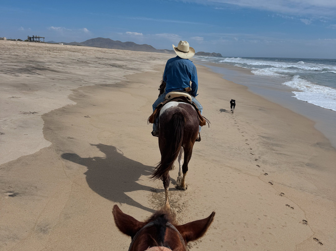 Cerritos Cowboy-Playa Cerritos必去景点