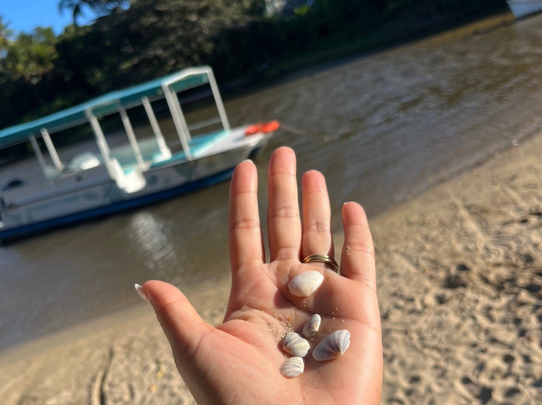 海洋溪海滩酒店主图
