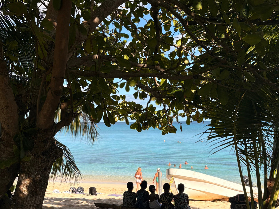 Dravuni Island-苏瓦必去景点