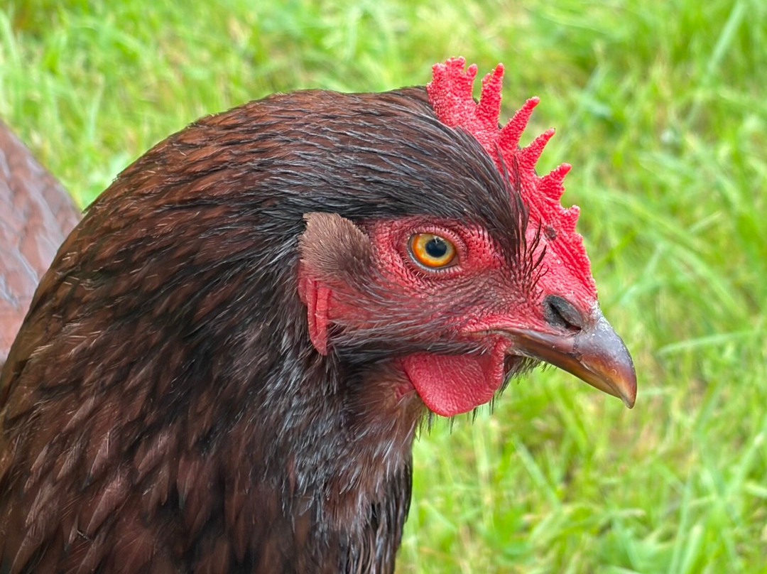Puur Natuurlijk
