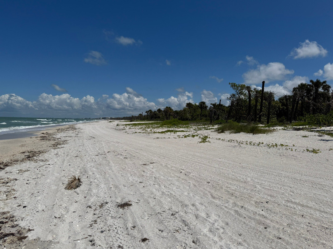 Barefoot Beach Preserve-博尼塔斯普林斯必去景点