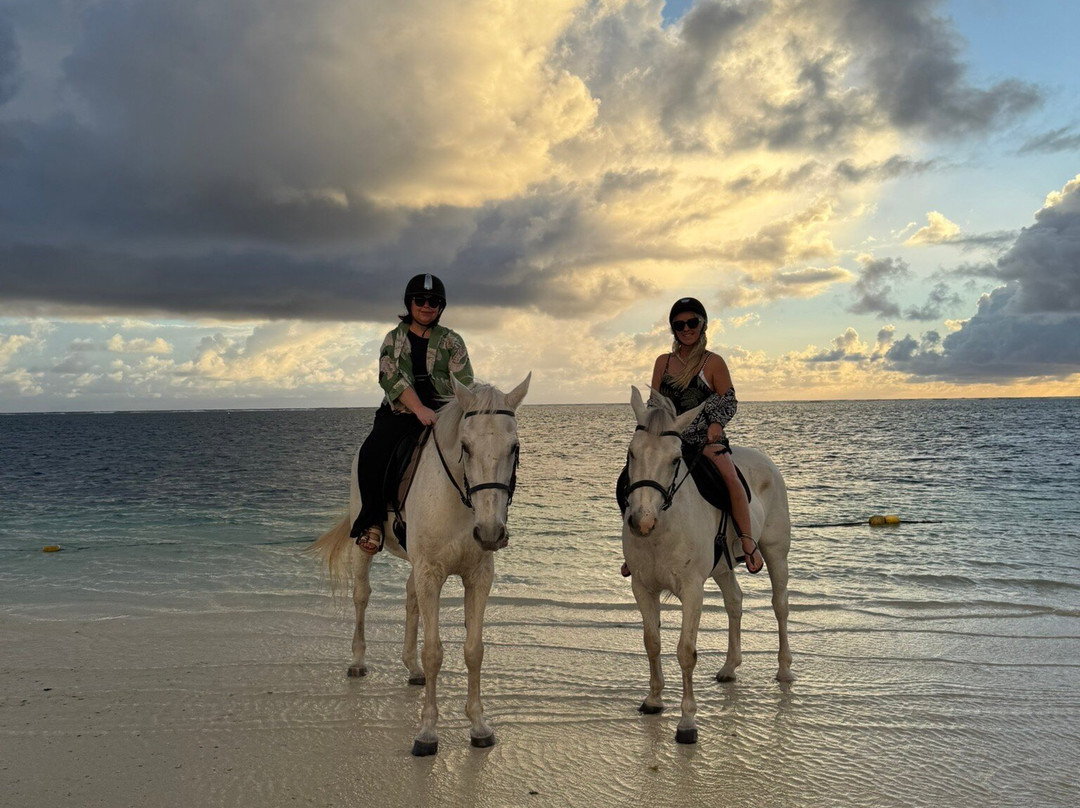 Legasea Stables Mauritius-Quatre Cocos必去景点