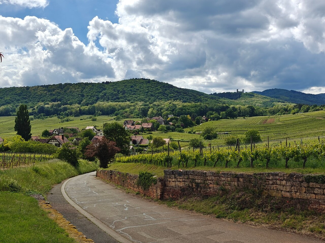 Domaine Armand Gilg-米特贝汉必去景点