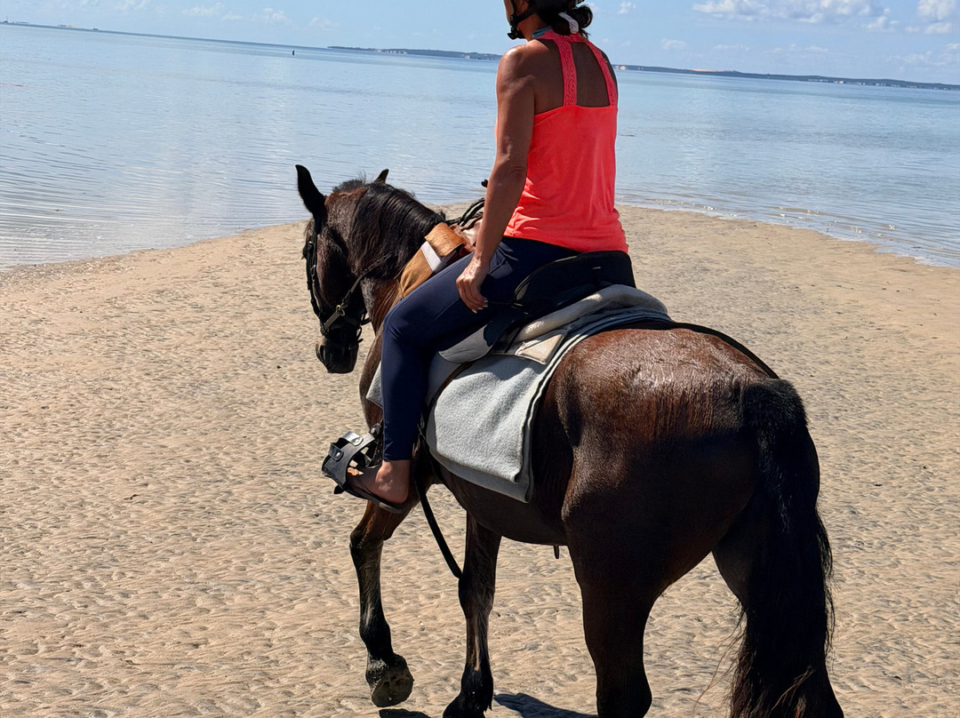 Mozambique Horse Safari-Vilanculos必去景点