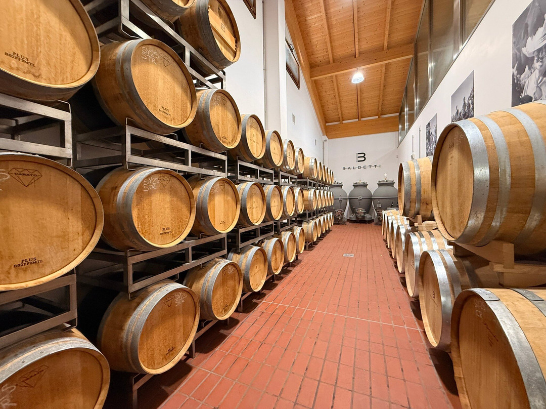 Baldetti Wine-科尔托纳必去景点