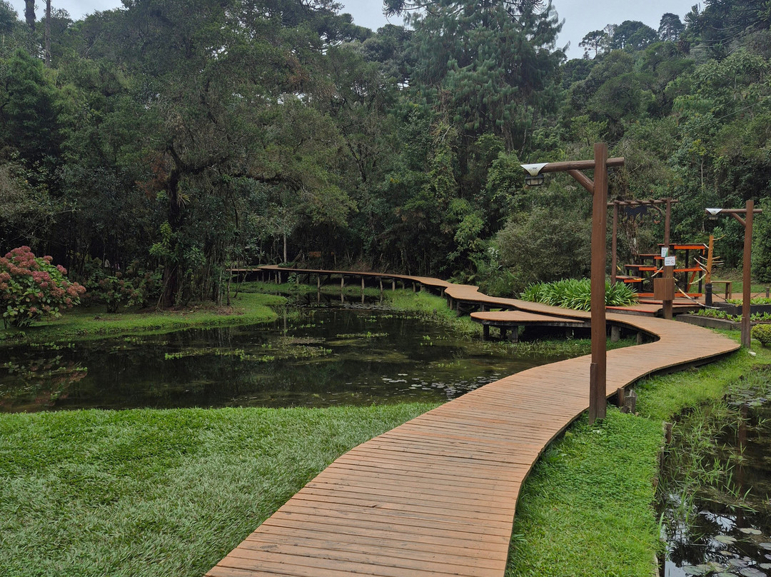 Bosque do Silêncio-坎普斯－杜若尔当必去景点