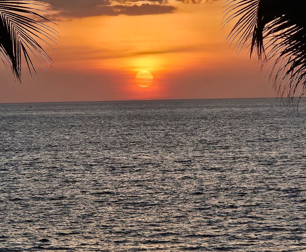 Hotel la Gaviota Tropical主图