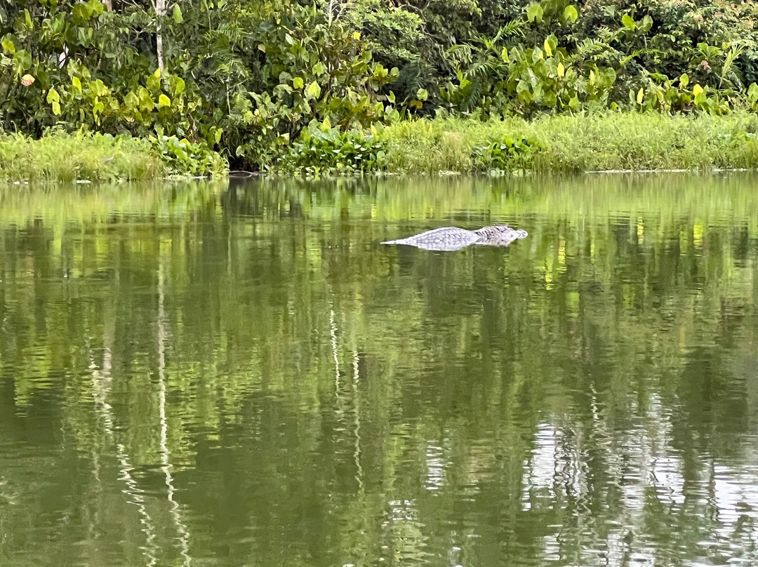Rio Delfin Expeditions