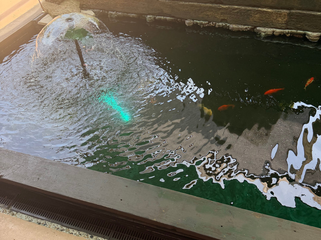 湖上小屋主图