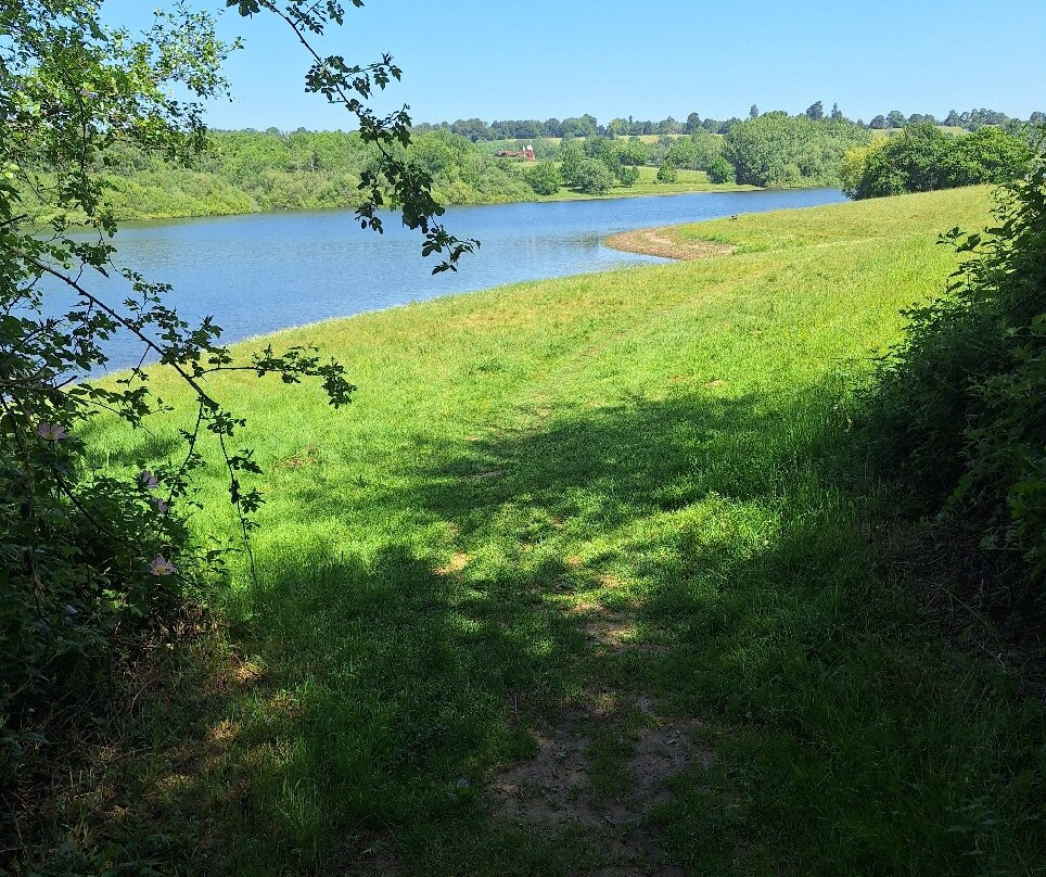Bewl Water-Lamberhurst必去景点