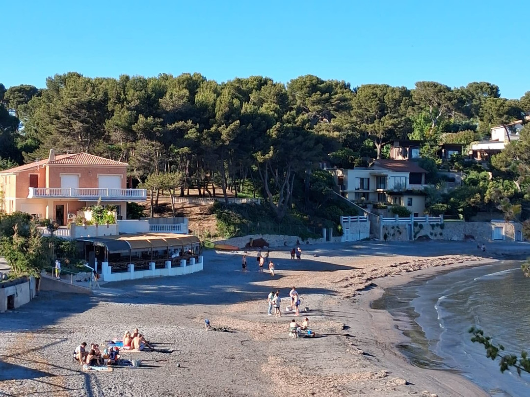 Plage de Fabregas-滨海拉塞纳必去景点
