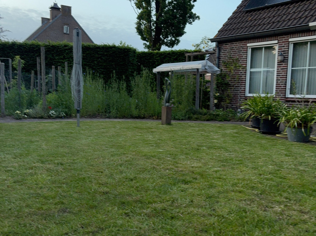 B&B Tussen Broek en Duin主图