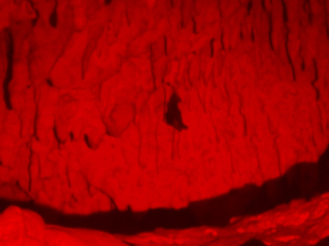 Paje Cave-帕杰必去景点