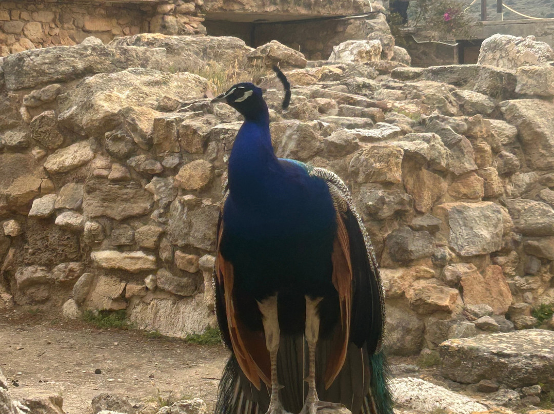 VisitKnossos-伊拉克利翁必去景点
