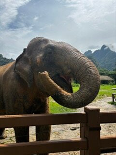 Elephant Hills主图