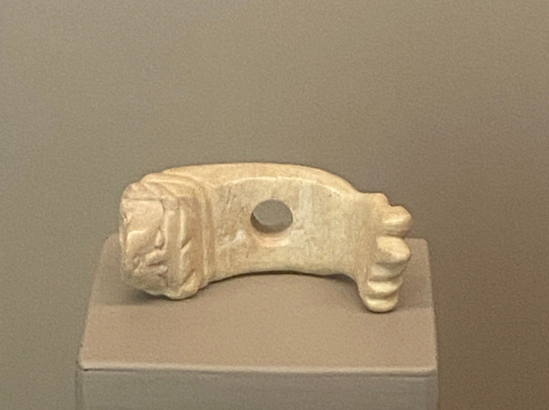Museo archeologico di Stabiae "Libero D’Orsi"-斯塔比亚海堡必去景点