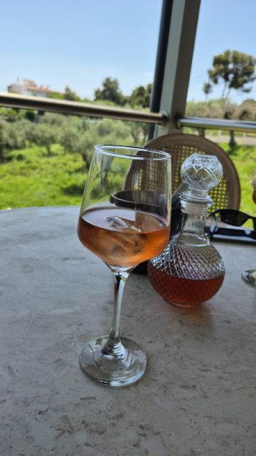 斯基亚索斯阿尔真托酒店-旅行者