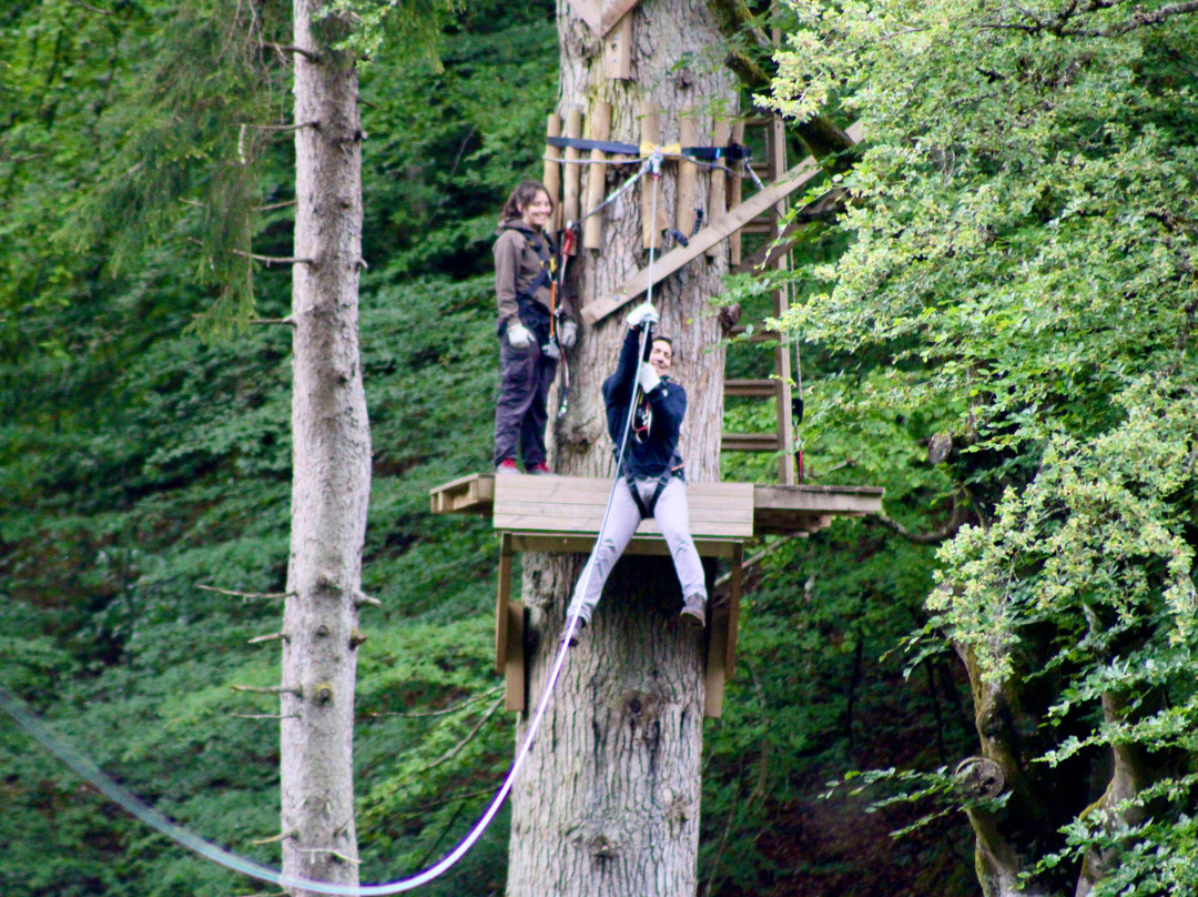 Highland Fling Bungee-Killiecrankie必去景点
