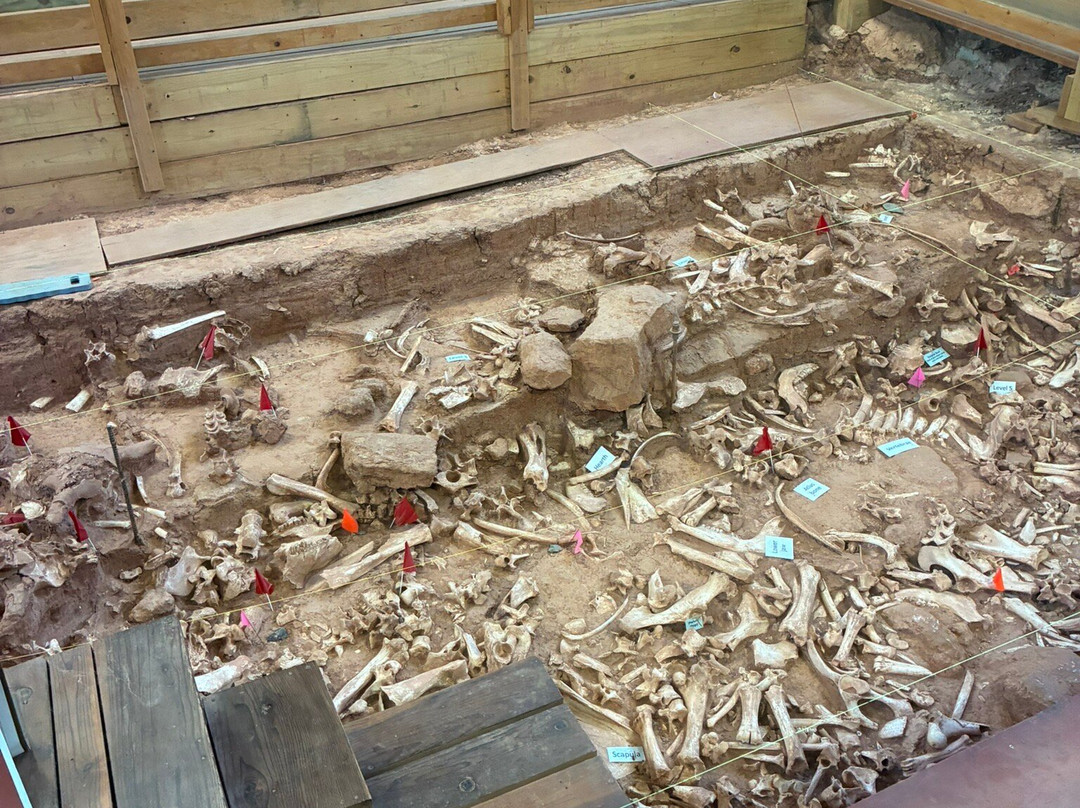 Vore Buffalo Jump-Beulah必去景点